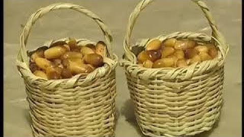 The Sector of Dates in Tunisia