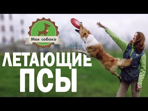 5 идей для активного отдыха на природе - Лайфхакер