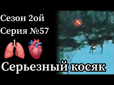 видео: Анализ видео с прошлой охоты с арбалетом, где произошёл СЕРЬЁЗНЫЙ косяк