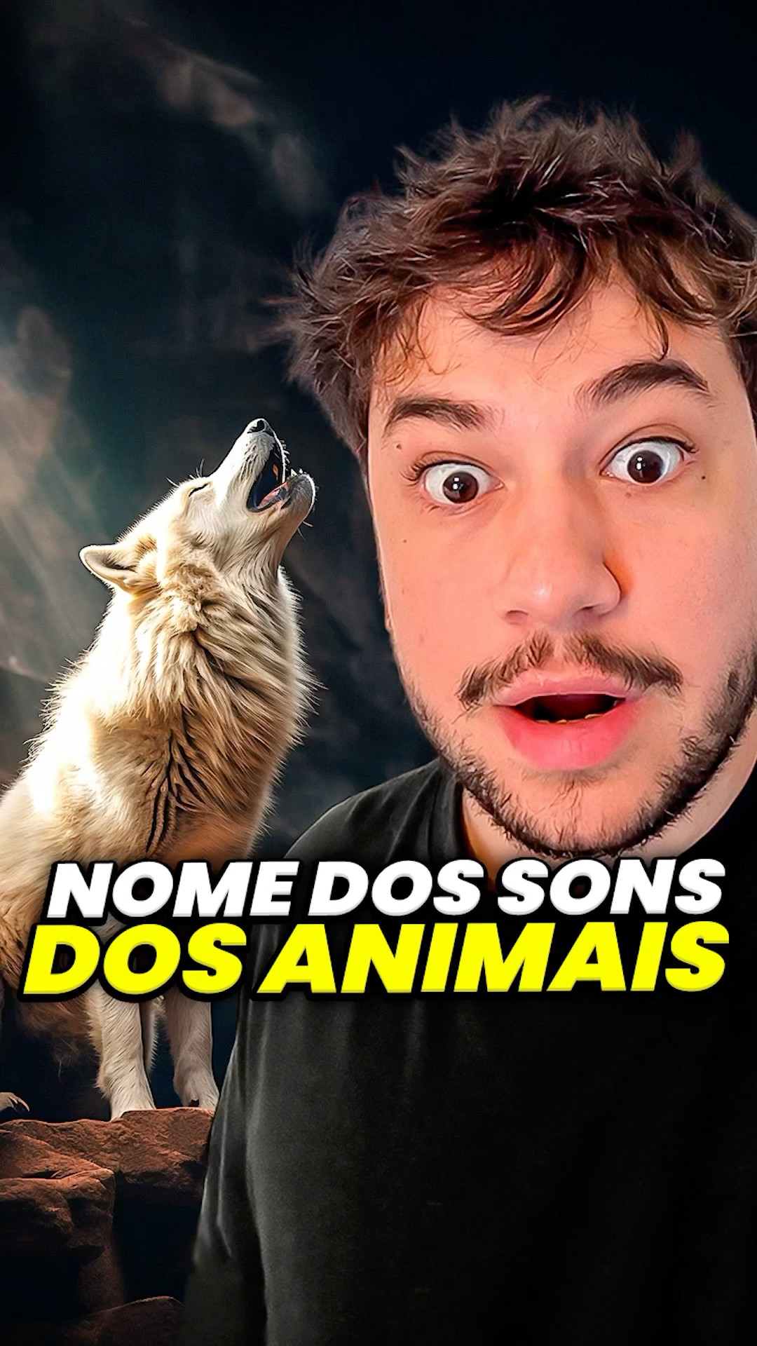 nome dos sons dos animais #livedobrino #humor #MundinhoBrino