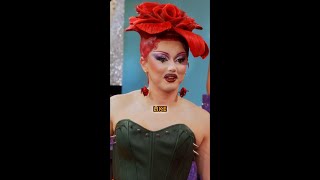 Rupauls Drag Race Season 18 & Untucked Now Streaming On Mtv And Wow Presents Plus