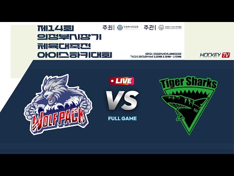 제14회 의정부시장기 체육대축전 아이스하키대회 G50 울프팩vs 타이거샥스 2024.12.16