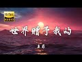 Hi Res无损 王菲 世界赠予我的 歌词纯享版 世界赠予我虫鸣 也赠予我雷霆 赠我弯弯一枚月 也赠予我晚星 歌词 Lyrics 