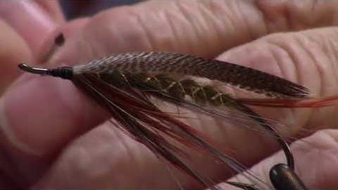 Gary Bevers bronze mallard feather spey wing