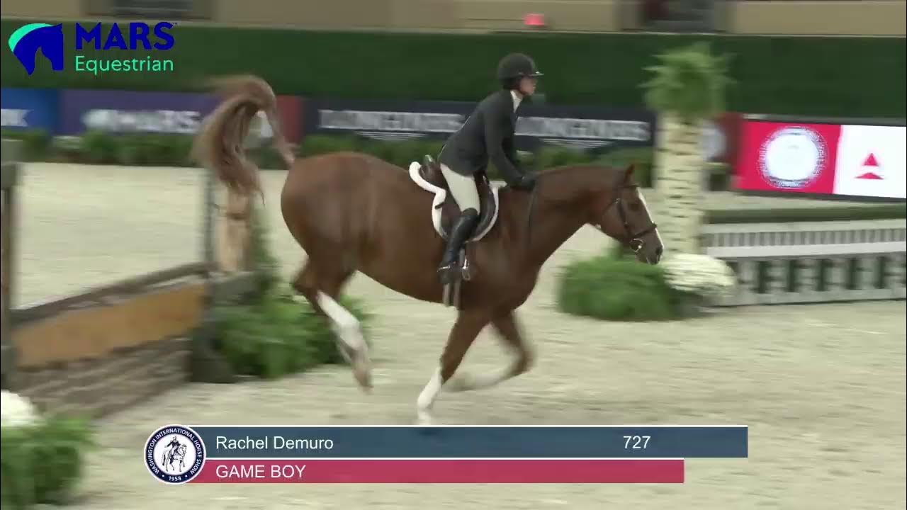 Capital Challenge Horse Show Live Stream YouTube