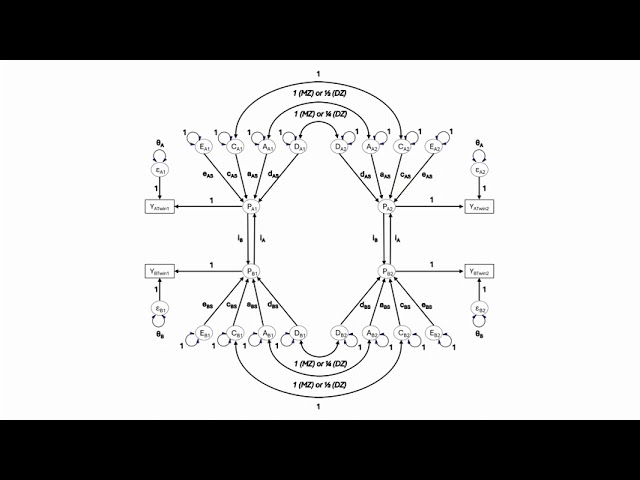 Direction of Causation Modeling in the Classical Twin Design Part 2