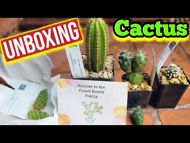 New Cactus Unboxing from Planet Desert