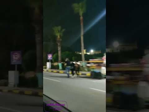 انت فوقت ولا لسه    سهيلة موسي بورسعيد طرح البحر مسلم قلب في الدفاتر