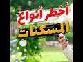 أخطر أنواع المسكنات المسكن المميت دورة الداء و الدواء 2