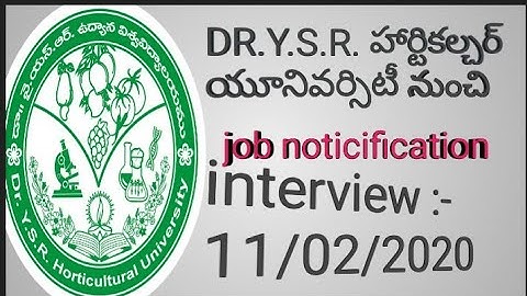 Dr.ysr horti university job notification