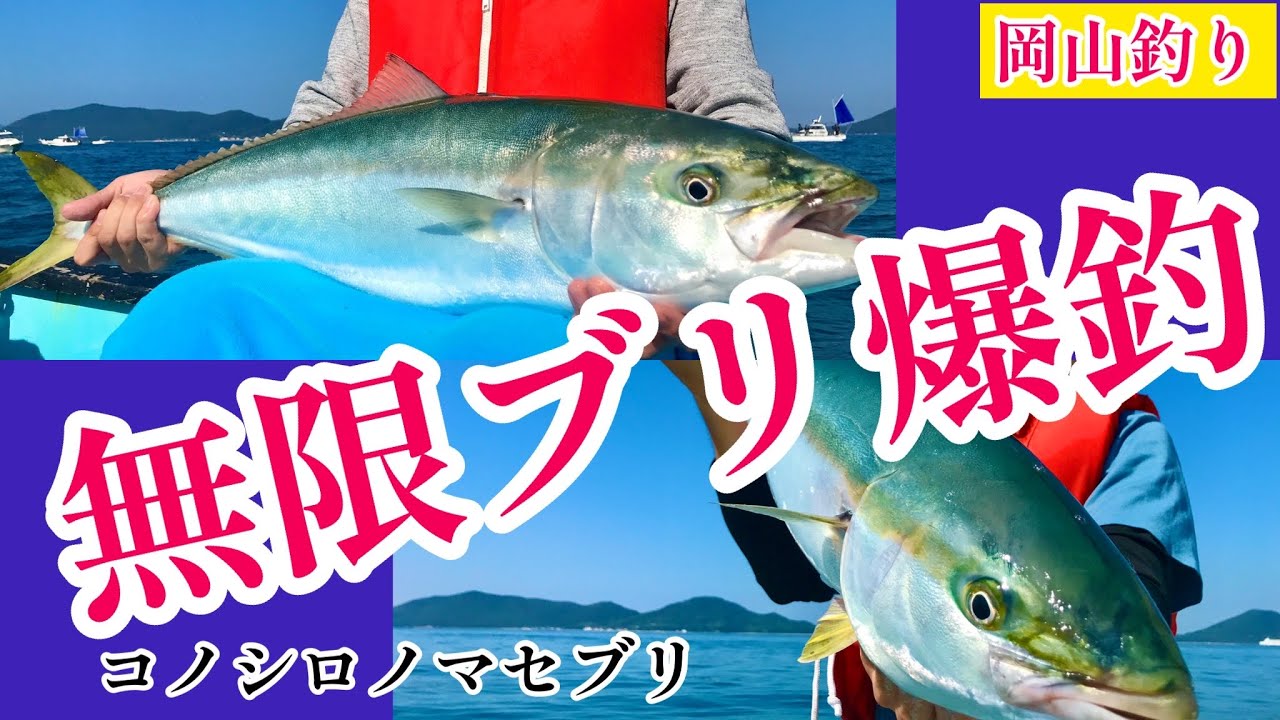 無限ブリ ノマセ釣りでブリ ハマチ大爆発 Youtube