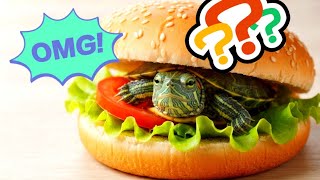 Full What is a SpongeBob Turtle Burger (Plot Twist) 🐢🍔 #shorts #linc #turtle News