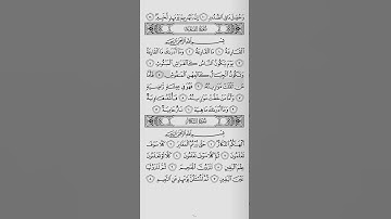 سورة القارعة - فضيلة الشيخ ياسر الدوسري