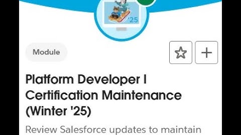 Platform Developer I Certification Maintenance (Winter 