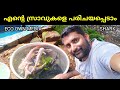 എന്റെ സ്രാവുകൾ | Shark Farming