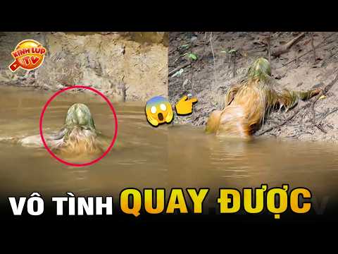 🔥 Giải Mã 7 Sinh Vật Bí Ẩn Bất Ngờ Xuất Hiện Do Camera Ghi Lại Khiến Ai Cũng Ngỡ Ngàng| Kính Lúp TV