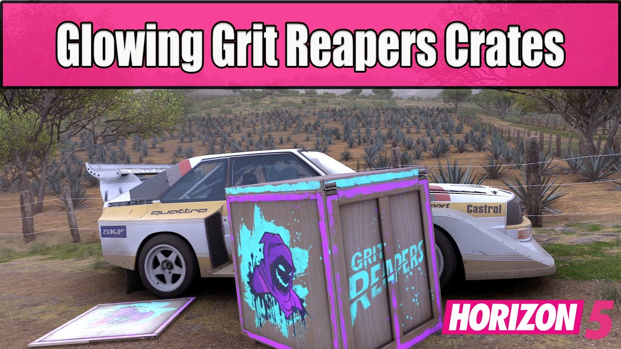 Rally Adventure - Grit Reapers missing race (?) - FH5 Discussion - Official  Forza Community Forums