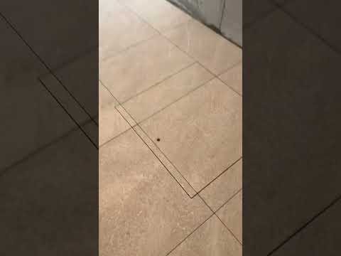 Скрытый люк в