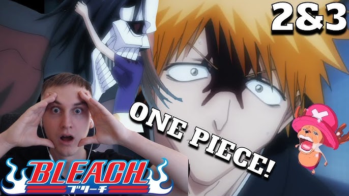 The funniest BLEACH/onepiece fan interaction today following their