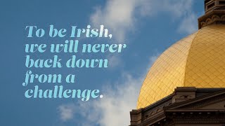 To Be Irish Never Back Down 2020