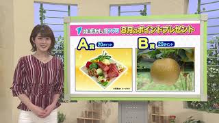 日本海テレビアプリ　８月ポイント注意喚起編