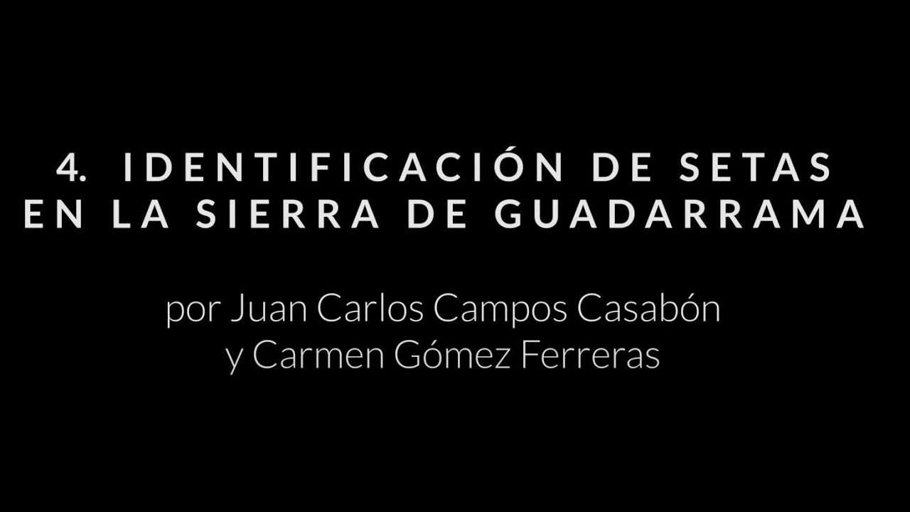04. Curso de Iniciación al conocimiento de hongos. Identificación de setas en  Sierra de Guadarrama
