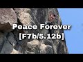 Beacon hillpeace forever f7b512b