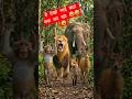 Ai Video | Sher Aur Uske Jungle Dost #ai #aishorts #aivideo