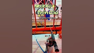 Nhật Ký Trên Cầu | Câu Cá Biển Vũng Tàu #ikada #shorts #fishing