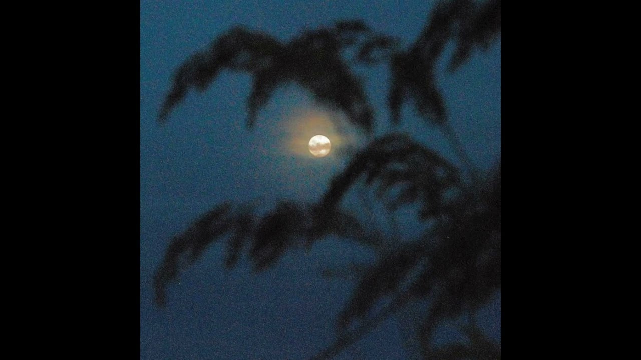 [FREE] MAC MILLER TYPE BEAT - "STATUS"