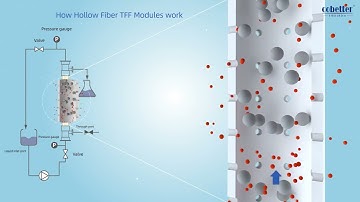Cobetter Hollow Fiber TFF Modules