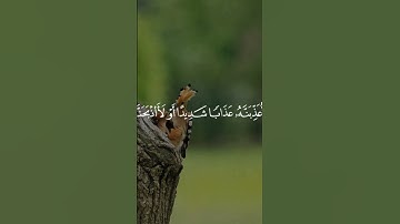 #قرآن #قران_كريم #راحة_نفسية #تلاوة_خاشعة #ياسر_الدوسري
