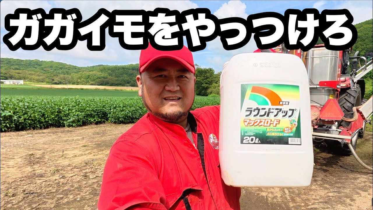 2025年8月3日　再編集板　ガガイモをやっつける