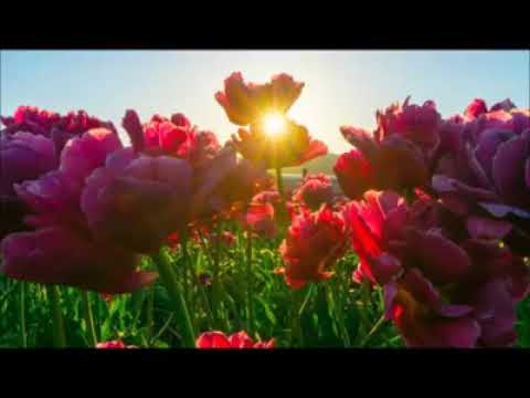 In-Depth Study of Surah Ar-Rahman Session 1 || Part 3