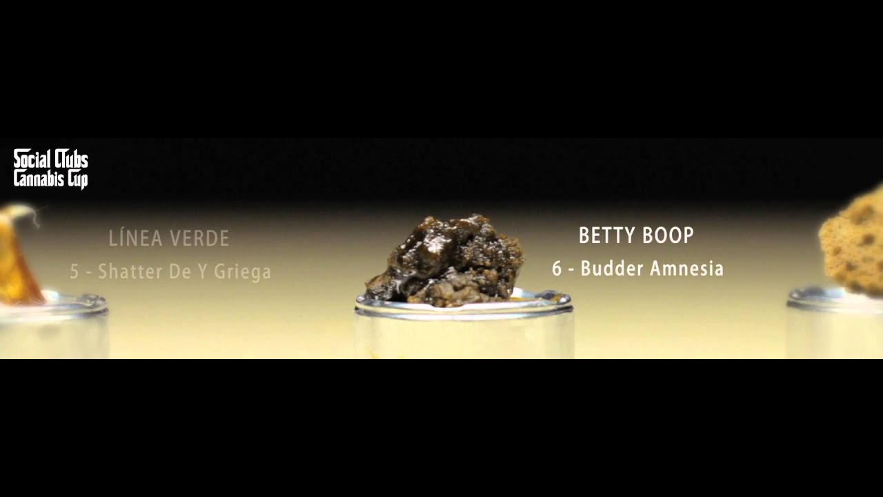 Social Clubs Cannabis Cup 2014 - Extracción