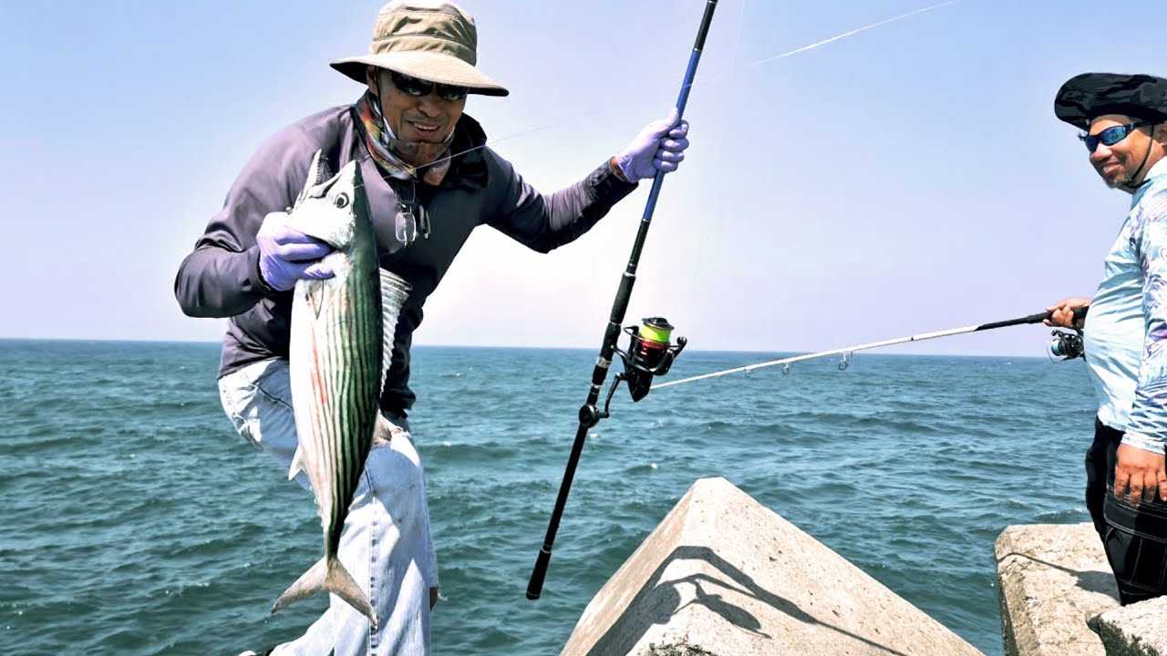 MASSIVE BONITO / WEEKEND ILLAWARRA FISHING NSW ###@kidmarino