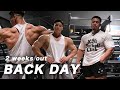 【BACK DAY】 オリンピア２週間前の背中(ロウ系)ガチトレ