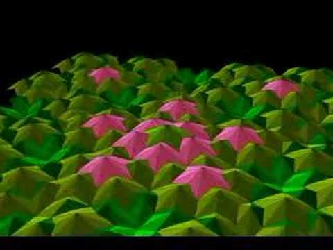 Quasicrystal