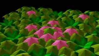 Quasicrystal