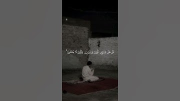 سورة الزمر | بندر بليلة