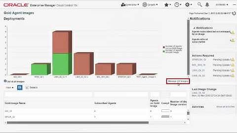 Agent Gold Image Console and its Operations