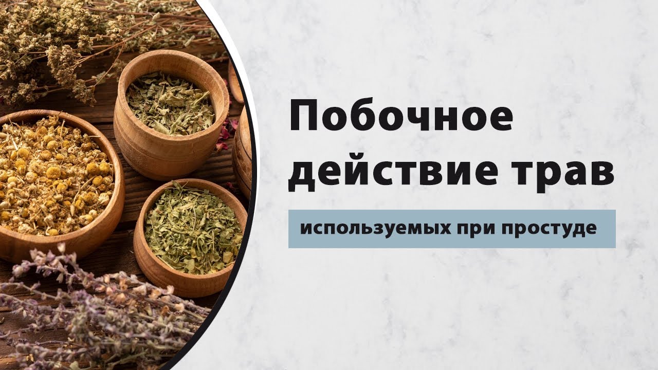 Побочные действия трав, применяемых при простуде - YouTube