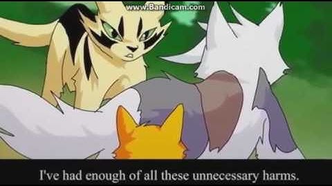 stronger than you cat