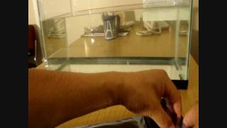 Dunking the iPad into Water -- Demo of the WaterGuard Plus Waterproof Case for iPad (Part 3) screenshot 4