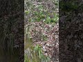 Silbertal - Grottenvorbereitung
