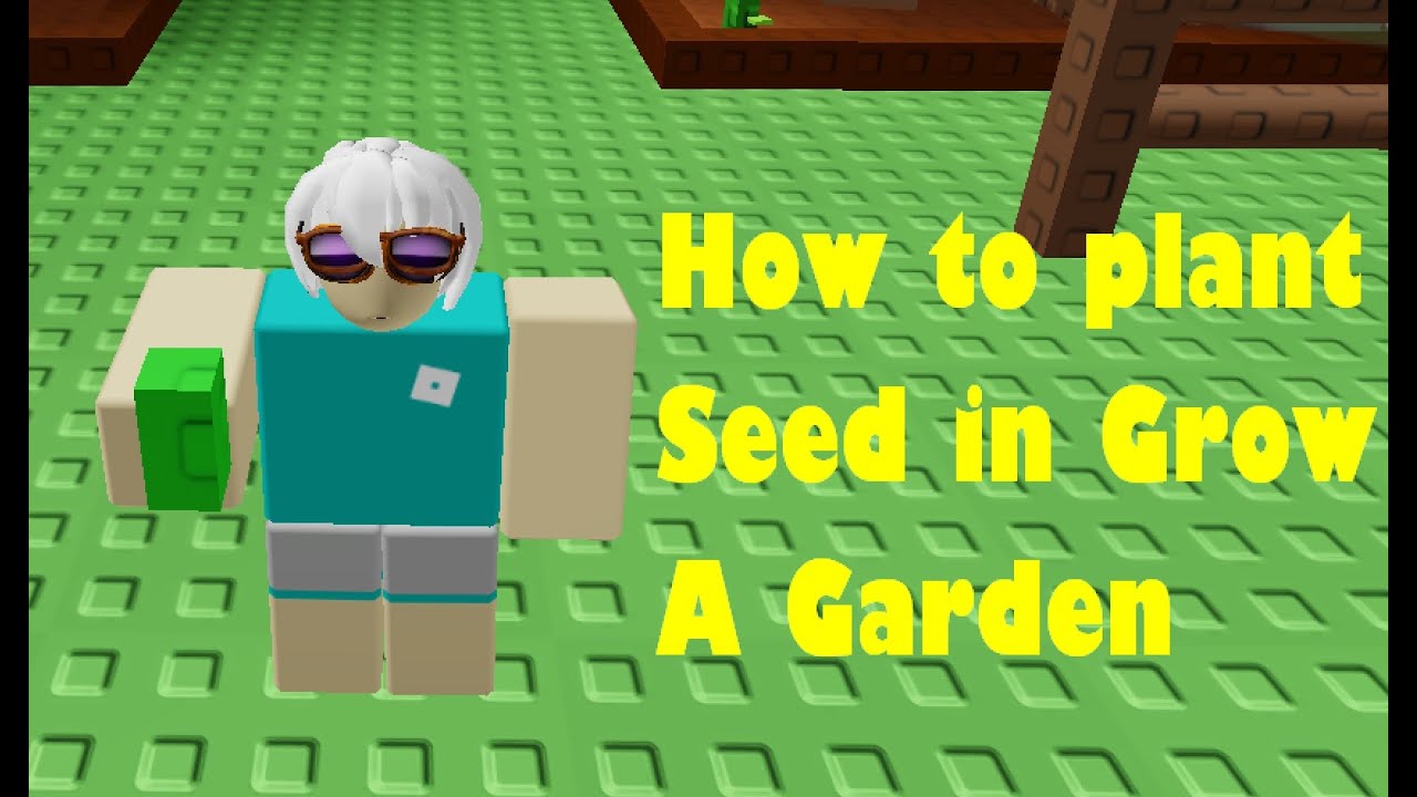 How To Plant A Seed In Grow A Garden Roblox YouTube 