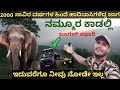 Elephant forestsafari  lokkanahalli near bandipur  amezing wildlife animals  karnataka
