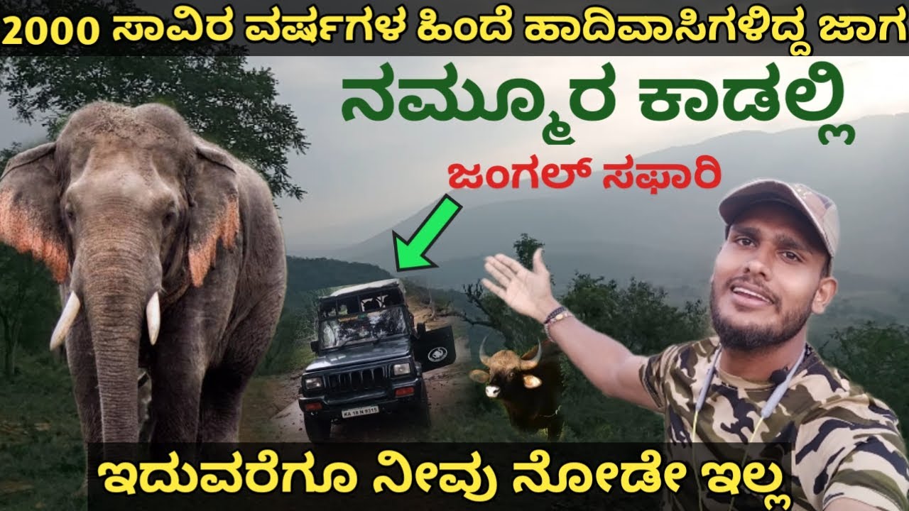 Elephant Forest🐘Safari | Lokkanahalli Near Bandipur | Amezing Wildlife animals | Karnataka