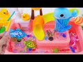 [🐋toy asmr🐋] ZURU Robo Alive Lighting Fish &amp; Robo Aquarium &amp; Robo Sea Animal Toys 🌟 Review Toys