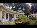 Дендрарий парк в Сочи